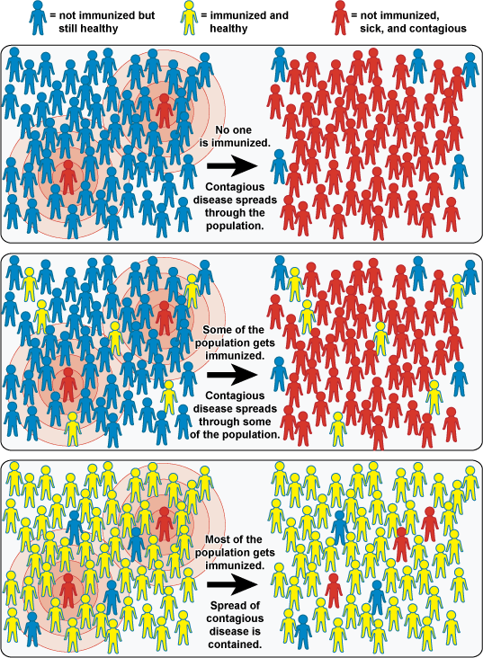 Community Immunity ("Herd" Immunity), image by NIAID